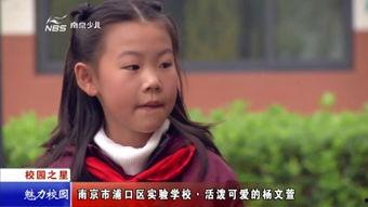 吃瓜背诗视频在线观看,领略古诗词之美——在线观看吃瓜背诗视频