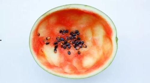 勺子 吃瓜神器怎么用视频,勺子“吃瓜神器”使用教程视频概述