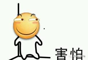 小呆呆吃瓜视频大全下载,笑料横生的欢乐时光回顾