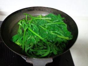 炒着吃的瓜尖视频,炒瓜尖视频带你领略美味瞬间