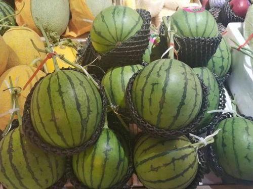 西瓜小视频吃瓜,吃瓜群众的欢乐盛宴