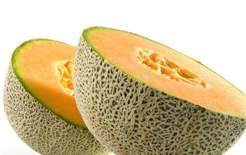 吃哈密瓜钓鱼视频教程,视频教程教你轻松上钩