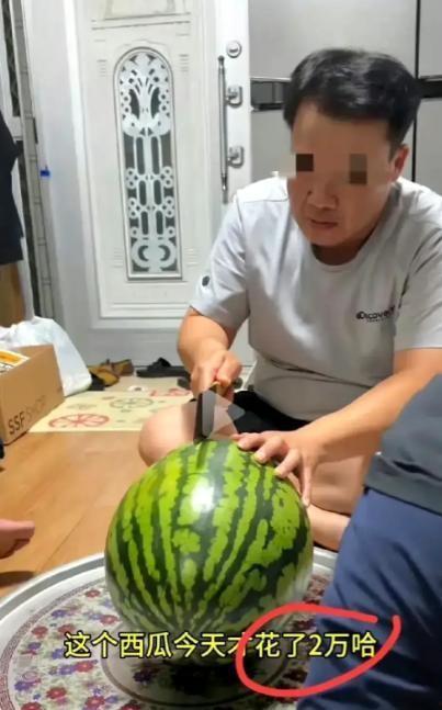 最新吃瓜辟谣视频大全,揭秘网络谣言真相