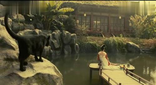 美女在河边吃瓜的视频,夏日风情尽收眼底