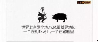 吃瓜视频搞笑文案短句,吃瓜视频搞笑文案精选集锦