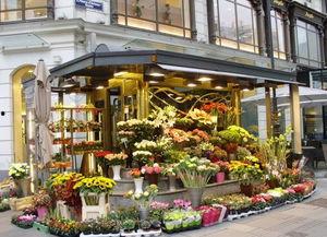 唐山花店最新吃瓜视频哪里有,揭秘幕后真相，带你一探究竟