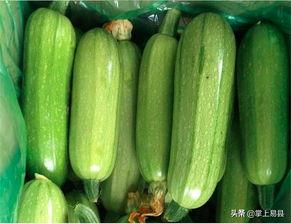 西葫芦歪瓜可以吃吗视频,能否放心食用？