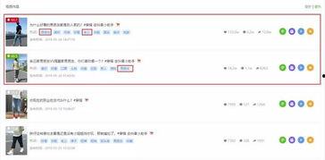 吃瓜骂人语音播报视频下载,网络恶搞风潮下的趣味与争议